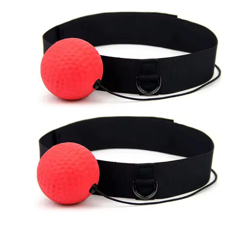 Boxing Training Ball
