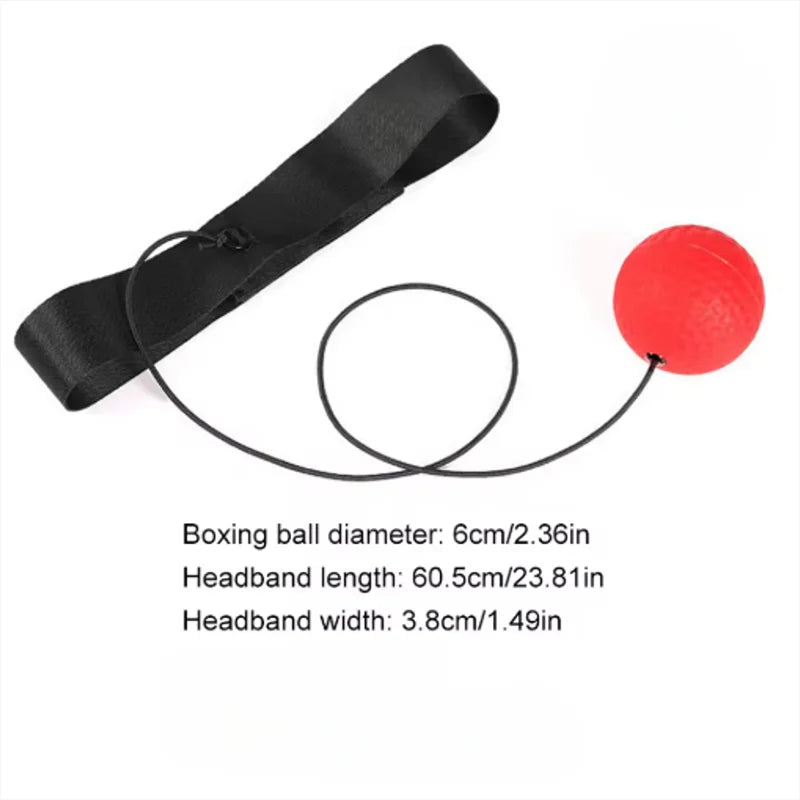 Boxing Training Ball